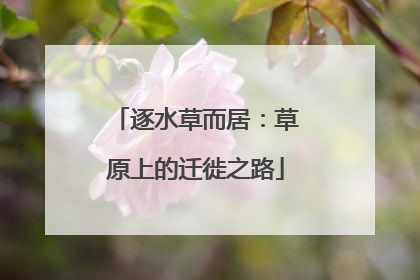 逐水草而居：草原上的迁徙之路