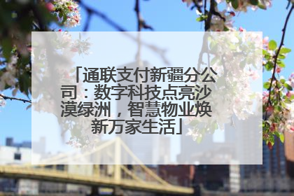 通联支付新疆分公司：数字科技点亮沙漠绿洲，智慧物业焕新万家生活