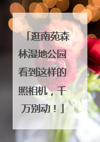 逛南苑森林湿地公园看到这样的照相机，千万别动！