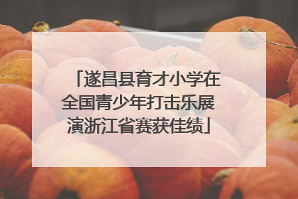 遂昌县育才小学在全国青少年打击乐展演浙江省赛获佳绩