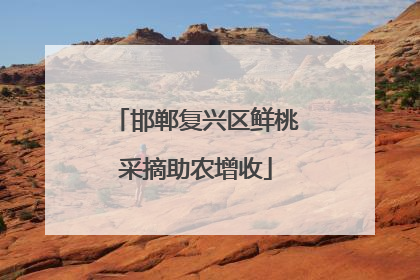 邯郸复兴区鲜桃采摘助农增收