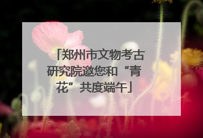 郑州市文物考古研究院邀您和“青花”共度端午
