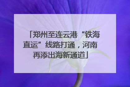 郑州至连云港“铁海直运”线路打通，河南再添出海新通道