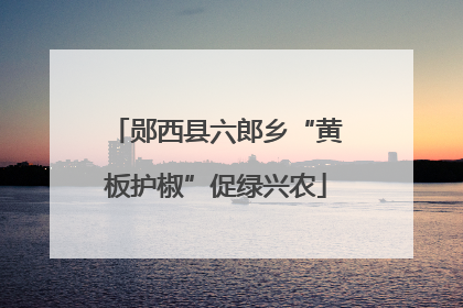 郧西县六郎乡“黄板护椒”促绿兴农