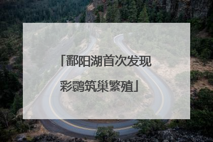鄱阳湖首次发现彩鹮筑巢繁殖