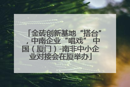 金砖创新基地“搭台”，中南企业“唱戏” 中国（厦门）-南非中小企业对接会在厦举办