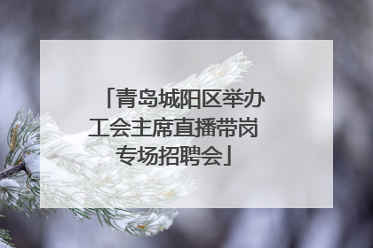 青岛城阳区举办工会主席直播带岗专场招聘会