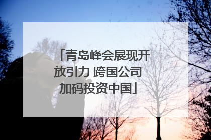 青岛峰会展现开放引力 跨国公司加码投资中国