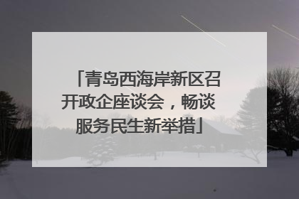 青岛西海岸新区召开政企座谈会，畅谈服务民生新举措