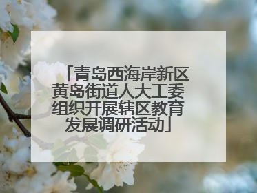 青岛西海岸新区黄岛街道人大工委组织开展辖区教育发展调研活动
