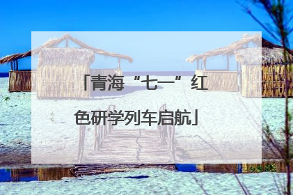 青海“七一”红色研学列车启航
