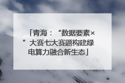 青海：“数据要素×”大赛七大赛题构建绿电算力融合新生态