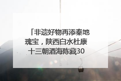 非遗好物再添秦地瑰宝，陕西白水杜康十三朝酒海陈藏30年别具一格