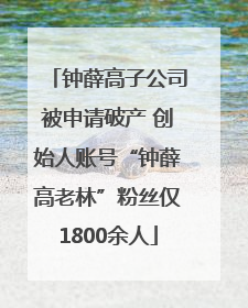 钟薛高子公司被申请破产 创始人账号“钟薛高老林”粉丝仅1800余人