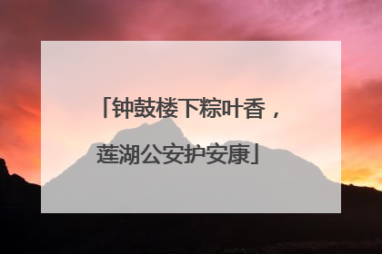钟鼓楼下粽叶香，莲湖公安护安康