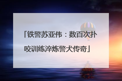 铁警苏亚伟：数百次扑咬训练淬炼警犬传奇