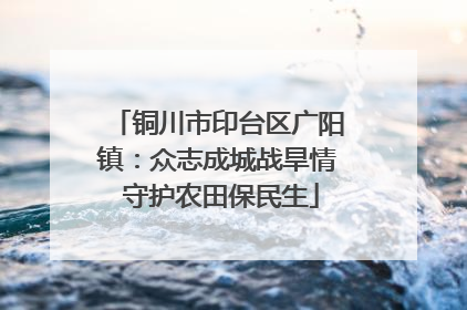 铜川市印台区广阳镇：众志成城战旱情 守护农田保民生