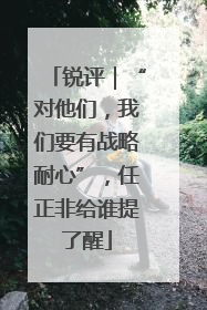 锐评｜“对他们，我们要有战略耐心”，任正非给谁提了醒