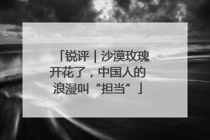 锐评｜沙漠玫瑰开花了，中国人的浪漫叫“担当”