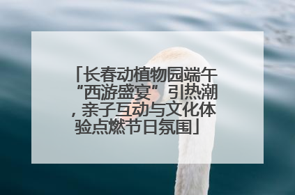 长春动植物园端午“西游盛宴”引热潮，亲子互动与文化体验点燃节日氛围