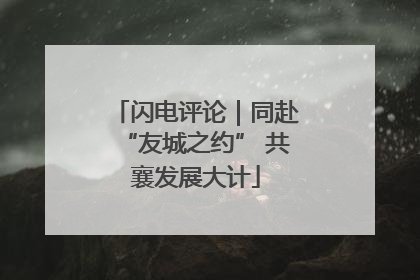 闪电评论｜同赴“友城之约” 共襄发展大计
