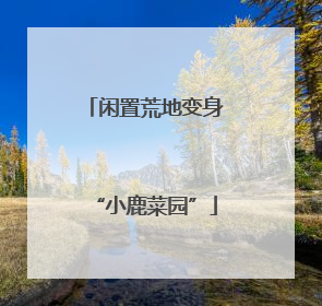闲置荒地变身“小鹿菜园”