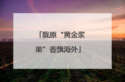 陇原“黄金浆果”香飘海外