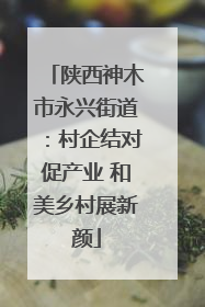 陕西神木市永兴街道：村企结对促产业 和美乡村展新颜