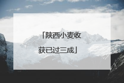 陕西小麦收获已过三成
