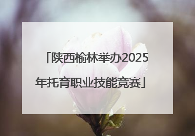 陕西榆林举办2025年托育职业技能竞赛