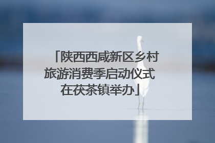 陕西西咸新区乡村旅游消费季启动仪式在茯茶镇举办