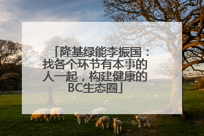 隆基绿能李振国：找各个环节有本事的人一起，构建健康的BC生态圈