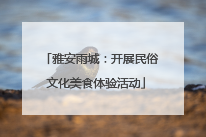 雅安雨城：开展民俗文化美食体验活动