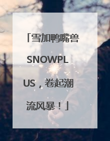 雪加鸭嘴兽SNOWPLUS，卷起潮流风暴！