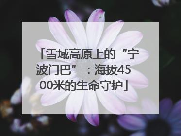 雪域高原上的“宁波门巴”：海拔4500米的生命守护