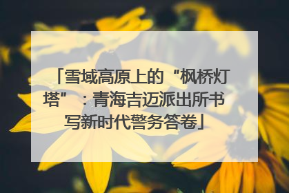 雪域高原上的“枫桥灯塔”：青海吉迈派出所书写新时代警务答卷