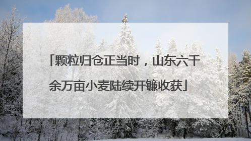 颗粒归仓正当时，山东六千余万亩小麦陆续开镰收获