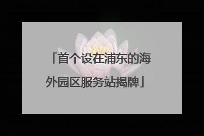 首个设在浦东的海外园区服务站揭牌