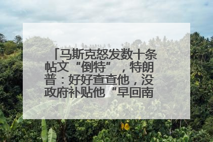 马斯克怒发数十条帖文“倒特”，特朗普：好好查查他，没政府补贴他“早回南非老家”了