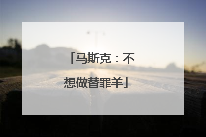 马斯克：不想做替罪羊