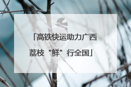 高铁快运助力广西荔枝“鲜”行全国