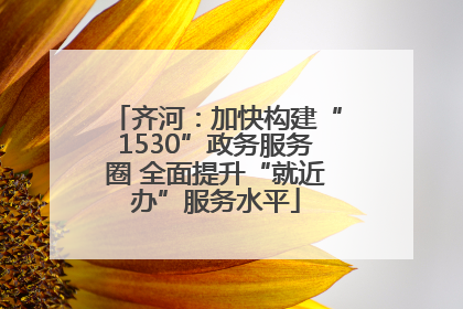 齐河：加快构建“1530”政务服务圈 全面提升“就近办”服务水平