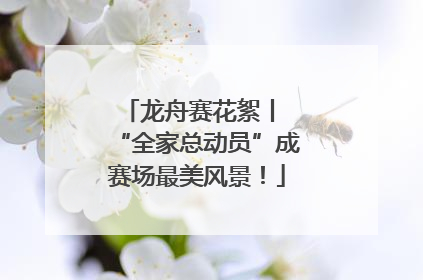 龙舟赛花絮丨 “全家总动员”成赛场最美风景！