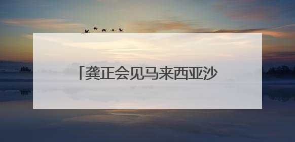 龚正会见马来西亚沙捞越州副总理沈桂贤