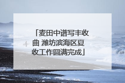 麦田中谱写丰收曲 潍坊滨海区夏收工作圆满完成