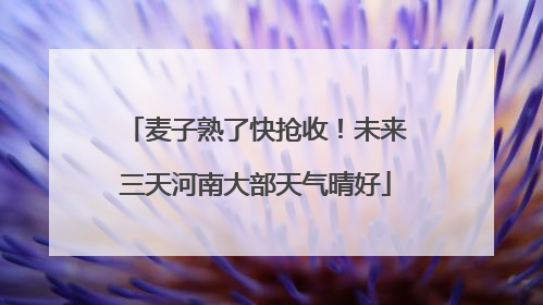 麦子熟了快抢收！未来三天河南大部天气晴好