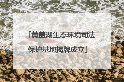 黄盖湖生态环境司法保护基地揭牌成立