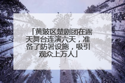 黄陂区楚剧团在露天舞台连演六天，准备了防暑设施，吸引观众上万人