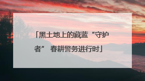 黑土地上的藏蓝“守护者” 春耕警务进行时