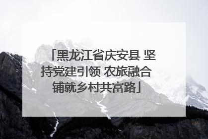 黑龙江省庆安县 坚持党建引领 农旅融合铺就乡村共富路